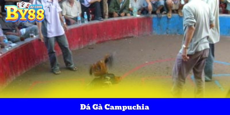 Đá Gà Campuchia – Điểm Đến Kèo Cược Những Trận Đấu Đỉnh Cao 2 Đá Gà Campuchia