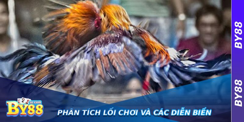 Đá Gà Thomo Có Bình Luận Viên – Cảm Nhận Không Khí Sân Đấu Chân Thực 3 Phân tích lối chơi và các diễn biến